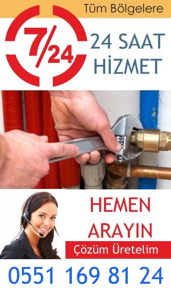 qyqryn